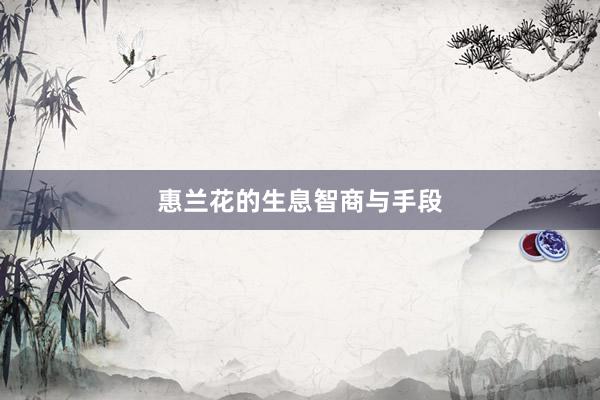 惠兰花的生息智商与手段