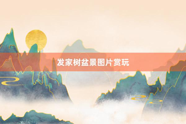 发家树盆景图片赏玩